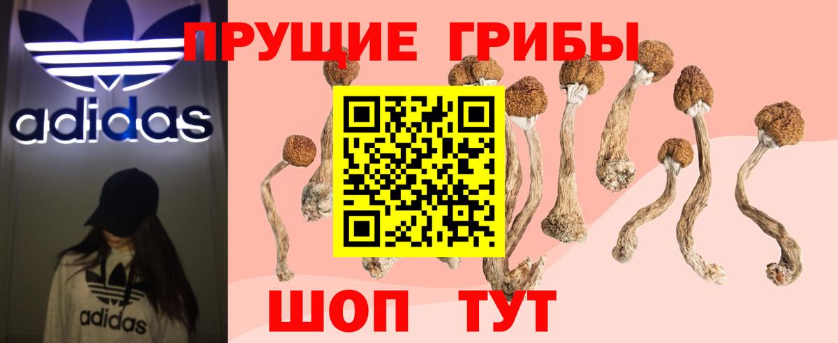 Псилоцибиновые грибы мицелий  Вход с VPN  где купить наркотик  Алапаевск  Галлюциногенные грибы мицелий 
